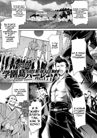 Гарем Острова-Академии (Island Academy Harem / Gakuenjima Harem)