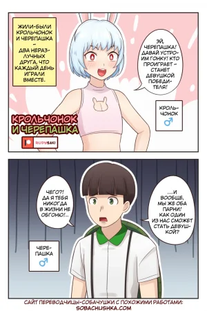 Крольчонок и черепашка (The Rabbit and The Turtle)